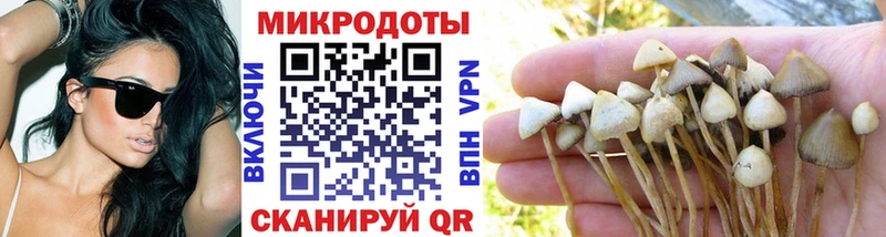 Галлюциногенные грибы Psilocybe  купить закладку  Баксан 